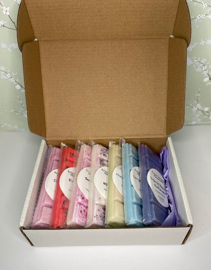 Snap Bar Sampler Box